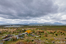 Rannoch Moor, Schottland