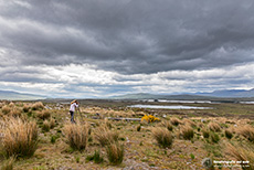 Andrea macht sich gut im Rannoch Moor, Schottland