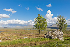 Rannoch Moor, Schottland