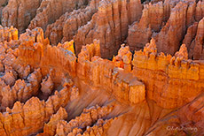 Details, Bryce Canyon