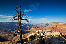 Aussichtspunkt am Grand Canyon, South Rim
