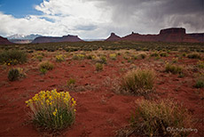 Landschaft in der Nähe von Moab