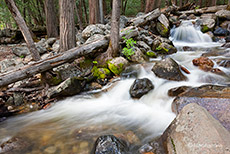 Bridalveil Creek, Yosemite Nationalpark