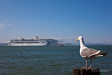 Kreuzfahrtschiff vor Alcatraz, San Francisco