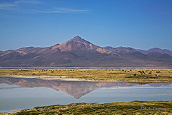 Rundfahrt um den Salar de Surire