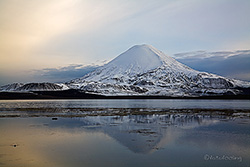Parinacota (6342m) am Lago Chungar�