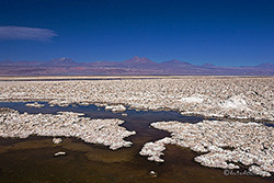Das Salz der Laguna Chaxa