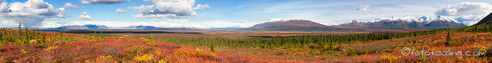 Herbstlandschaft am Denali Highway, Alaska
