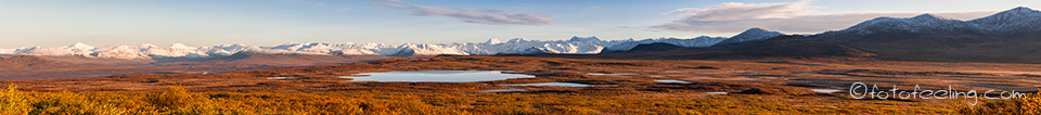 Seenlandschaft am Denali Highway mit der Alaska Range, Alaska