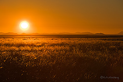 Sonnenuntergang über der Namib