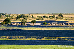 Elefantensicheres Duschhau, Chobe