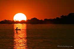 Sonnenuntergang am Chobe