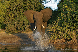 Dusche gefällig