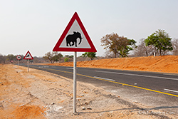 Neue Straße nach Kachikau Richtung Savuti