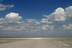 Unterwegs im Etosha Nationalpark