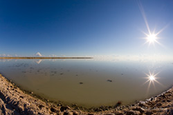 Hochwasser in der Etosha Pfanne