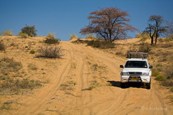 Dünenüberquerung Richtung Mabuasehube