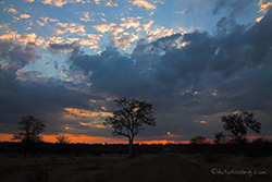Sonnenuntergang im Kruger Park