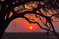 Sonnenuntergang am Linyanti