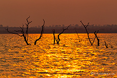 Sonnenuntergang am Lake Kariba