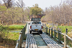 Neue North Bridge, Moremi Nationalpark