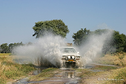 Wasserdurchfahrt im Moremi Nationalpark