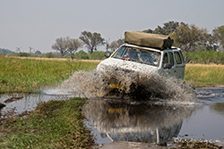 Ab durchs Wasser, Moremi Nationalpark