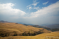 Long Tom Pass