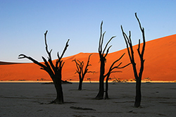 Licht und Schatten im Deadvlei