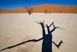 Lange Schatten im Deadvlei