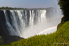 Mainfalls der Vicfalls mit Regenbogen