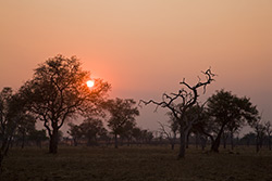 Sonnenuntergang im South Luangwa NP