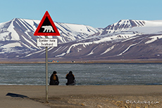 das Eisbärenschild