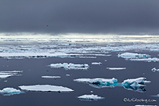 spiegelglatte See, Spitzbergen