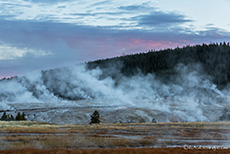 Dämmerung über dem Upper Geyser Basin, Yellowstone Nationalpark