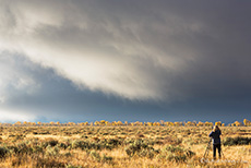 Schlechtwetterfotografie im Grand Teton Nationalpark