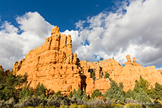 Tolle Sandsteinformationen im Red Canyon