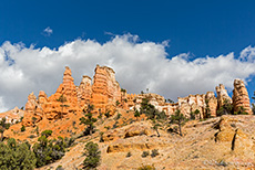 Hoodoos am Mossy Cave Trail, Bryce Canyon Nationalpark