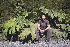 Christian unter den Riesenblttern der Panguepflanze, Pumalin Park