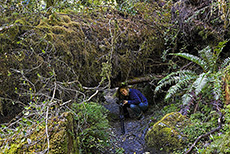 Andrea im Bosque Encantado (Mrchenwald) unterwegs