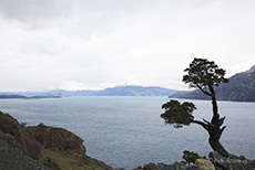 Lago General Carrera