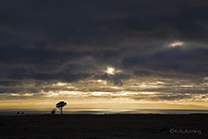 Sonnenaufgang am Meer