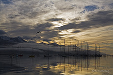 Yachthafen in Ushuaia