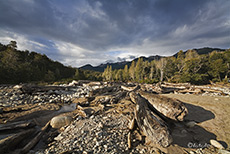 Am Lago Nahuel Huapi