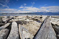 Am Strand vom Lago Nahuel Huapi