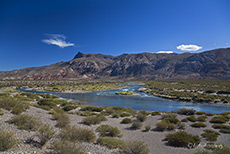 Rio Grande