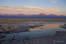 Abendstimmung an der Laguna Chaxa