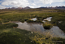 Lauca National Park