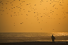 Wellenreiter am Strand von Arica