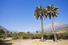 National Park "La Campana"